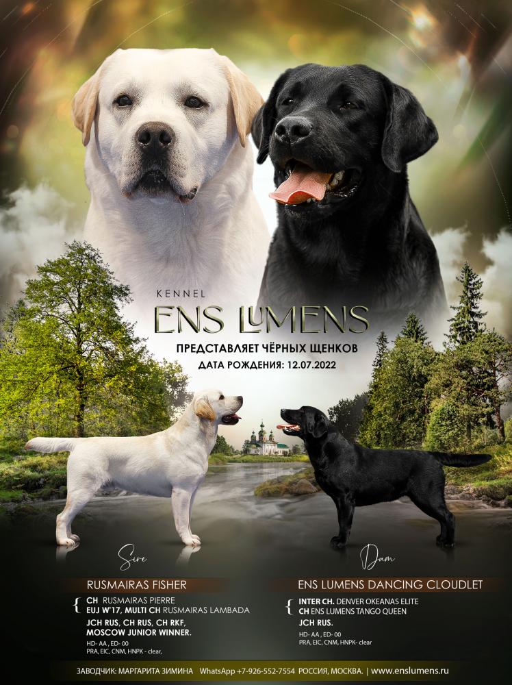 Ens lumens