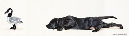 labrador retriever puppy black attack by Brett Longley