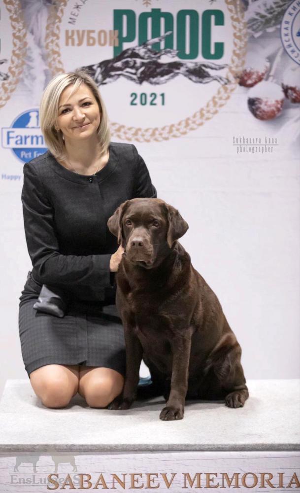 ENS lumens Labrador